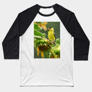 Goldfinch on sunflower Baseball T-Shirt